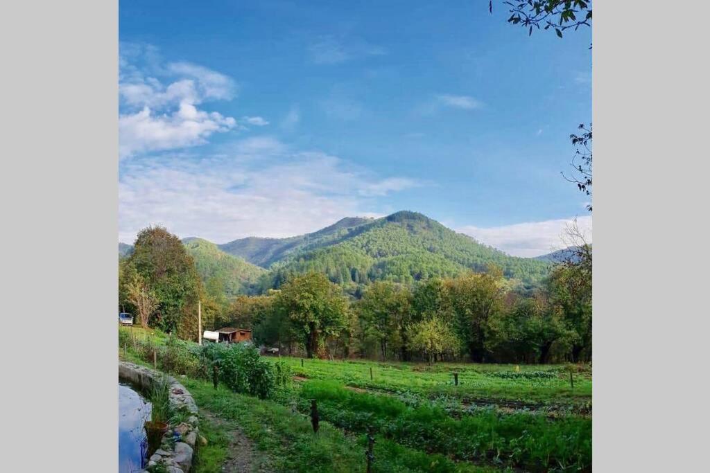 Le Gite - La Ferme Du Pouget แซ็ง-ฌอง-ดู-การ์ ภายนอก รูปภาพ