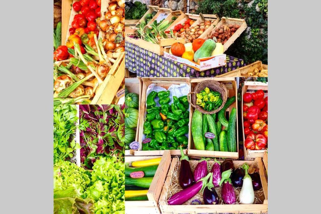 Le Gite - La Ferme Du Pouget แซ็ง-ฌอง-ดู-การ์ ภายนอก รูปภาพ